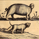 Illustration for article titled The Most Grotesque Humanoid Monsters of the Early Modern Age